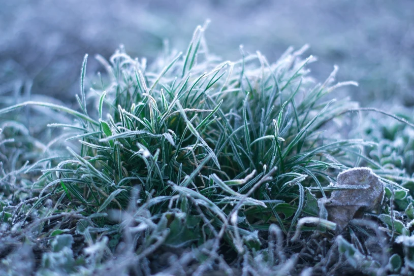Antycyklon Uli zatrzyma wiosnę. Wracają chłód i przymrozki