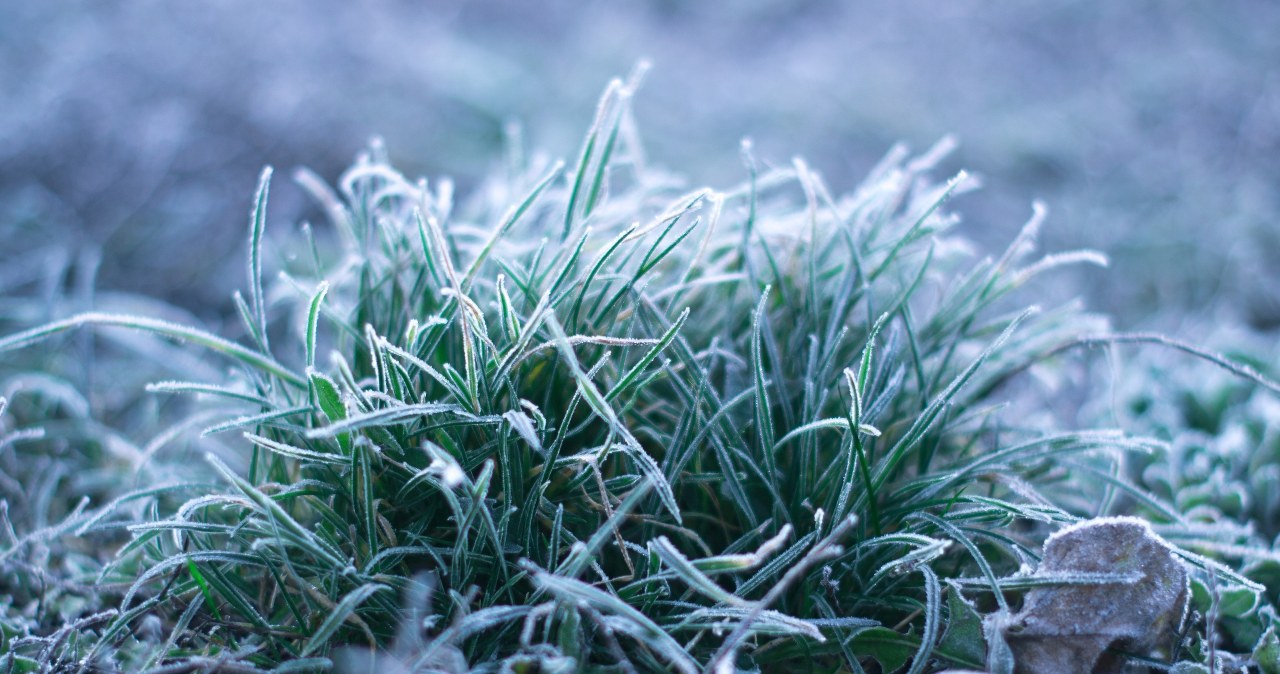 Antycyklon Uli zatrzyma wiosnę. Wracają chłód i przymrozki