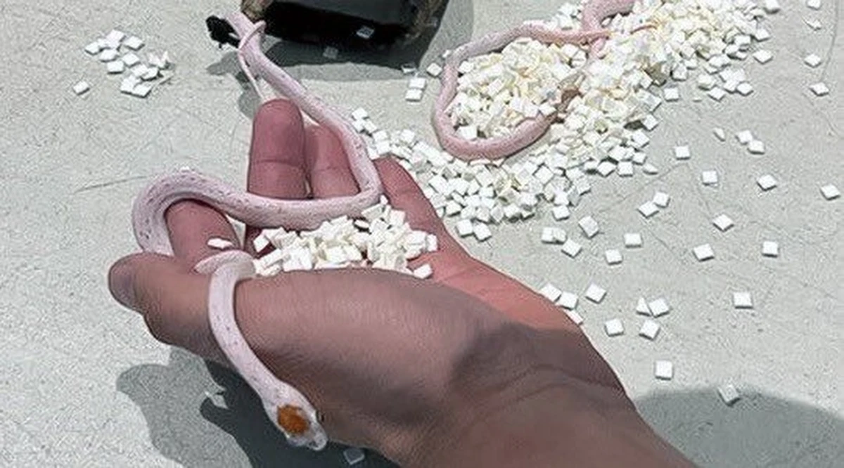 Ochrona na lotnisku w Miami pewnie widziała już wiele, ale odkrycie, jakiego dokonali pod koniec kwietnia, wprawiło ich w osłupienie. W spodniach jednego z pasażerów odkryli bowiem... worek z wężami.