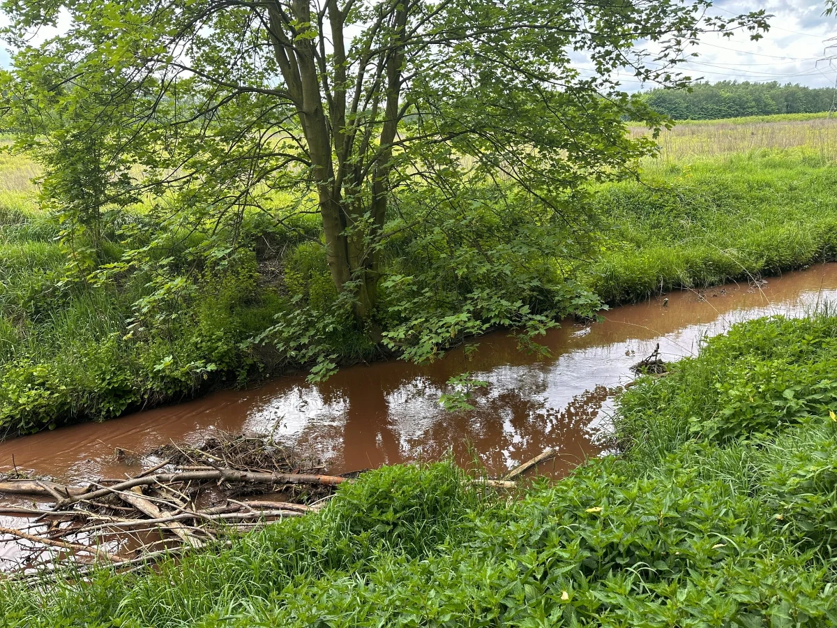 Wojewoda małopolski Krzysztof Jan Klęczar zlecił strażakom działania w związku z pożarem składowiska odpadów w Siemianowicach Śląskich. Chodzi o to, by zanieczyszczenia nie przedostały się do małopolskich rzek. 