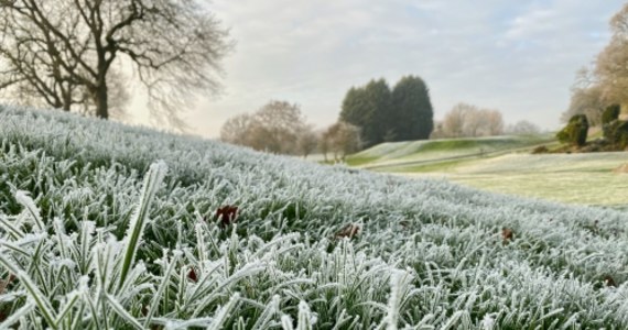 Instytut Meteorologii i Gospodarki Wodnej wydał ostrzeżenie o możliwych przymrozkach. Alert obejmuje obszary na północy i wschodzie kraju. Niedziela będzie dniem Pankracego - pierwszego z tzw. zimnych ogrodników. 