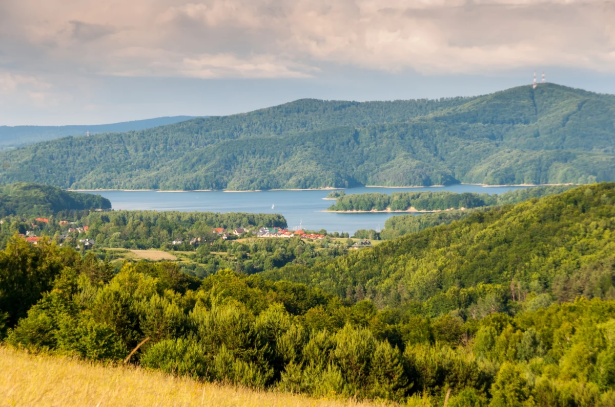 W podkarpackiej wsi Wołkowyja, w pobliżu Jeziora Solińskiego, w niedzielę rano w korycie rzeki znaleziono ciało człowieka. Policja we współpracy z prokuraturą wyjaśnia okoliczności zdarzenia i próbuje ustalić tożsamość ofiary.