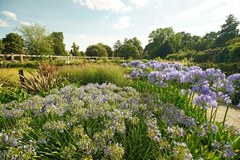 Cztery pory roku w ogrodach Kew