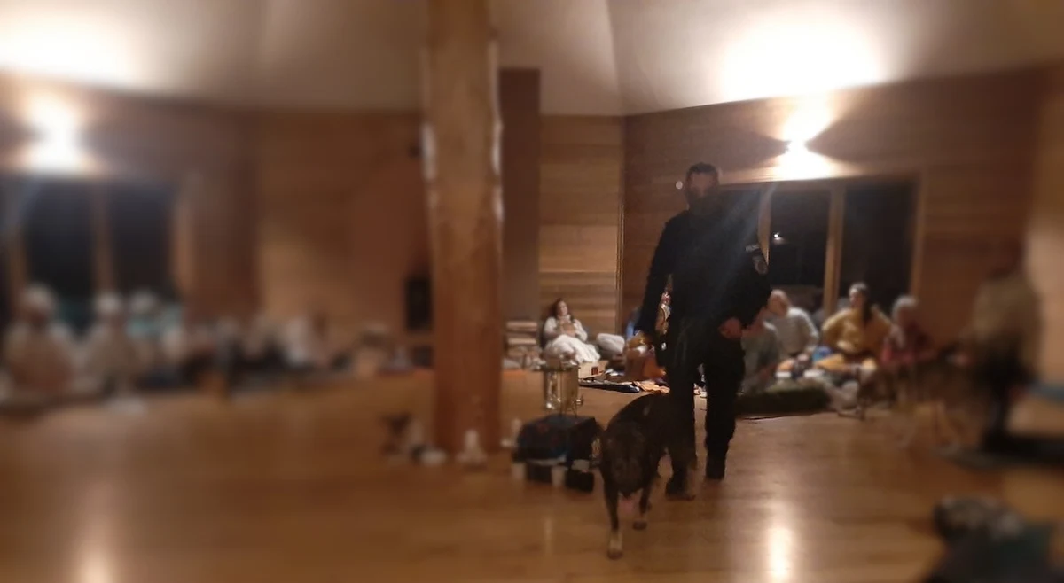 Policjanci zatrzymali 4 osoby podejrzane o wprowadzanie do obrotu znacznej ilości środków odurzających w postaci DMT oraz Harminy. Grupa miała organizować też ceremonie, których uczestnicy zażywali wywar Ayahuasca. Nad wszystkim czuwał "Szaman".