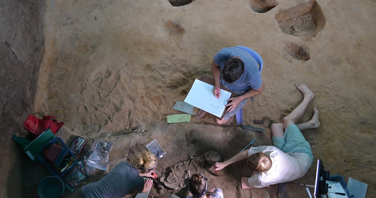 Unikalny pochówek odkryty w Małopolsce został opisany przez badaczy na łamach cenionego czasopisma naukowego "Journal of Archaeological Science: Reports". W grobie odnaleziono dwójkę dzieci, a także psa, kota i wronę. Dlaczego znalezisko jest wyjątkowe?