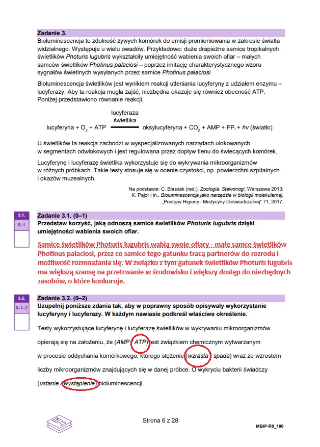 Matura 2024. Biologia - rozszerzenie. Arkusz CKE i odpowiedzi - strona 6