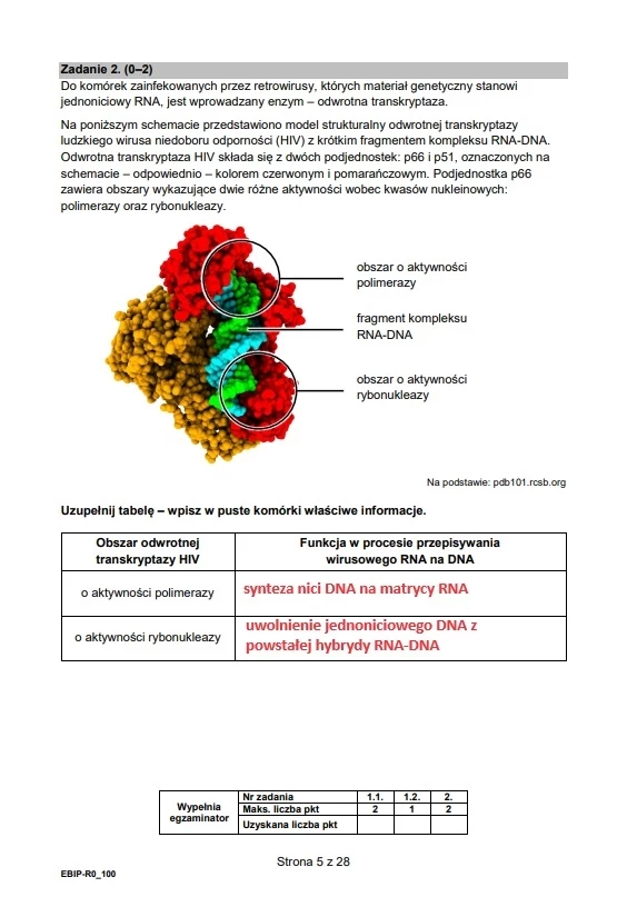 Matura 2024. Biologia - formuła 2015