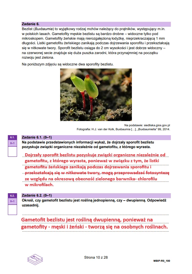 Matura 2024. Biologia - rozszerzenie. Arkusz CKE i odpowiedzi - strona 10