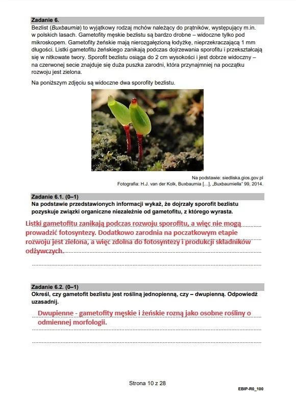 Zadanie 6 - arkusz CKE, biologia, formuła 2015