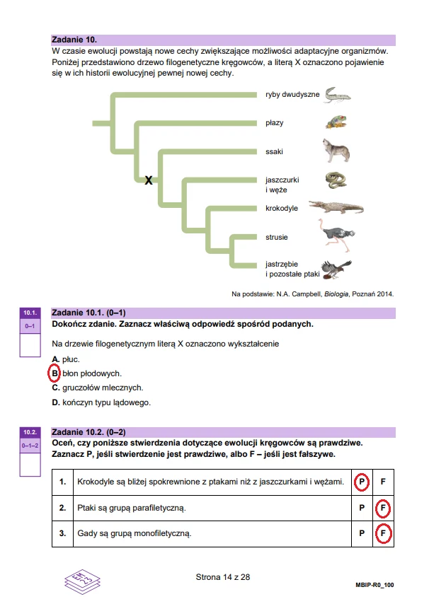 Matura 2024. Biologia - rozszerzenie. Arkusz CKE i odpowiedzi - strona 14