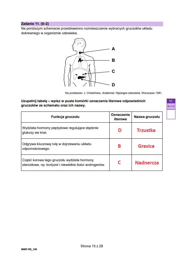 Matura 2024. Biologia - rozszerzenie. Arkusz CKE i odpowiedzi - strona 15