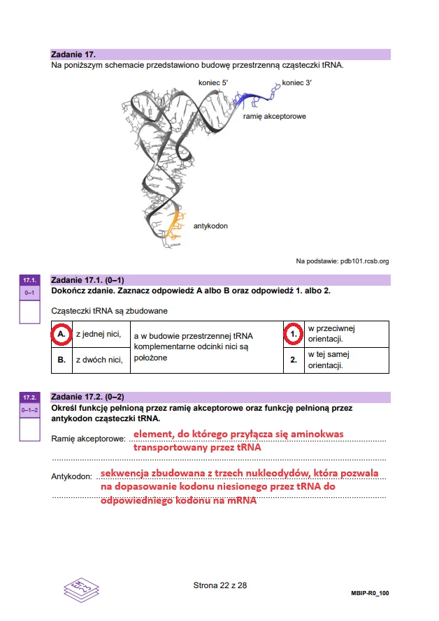 Matura 2024. Biologia - rozszerzenie. Arkusz CKE i odpowiedzi - strona 22