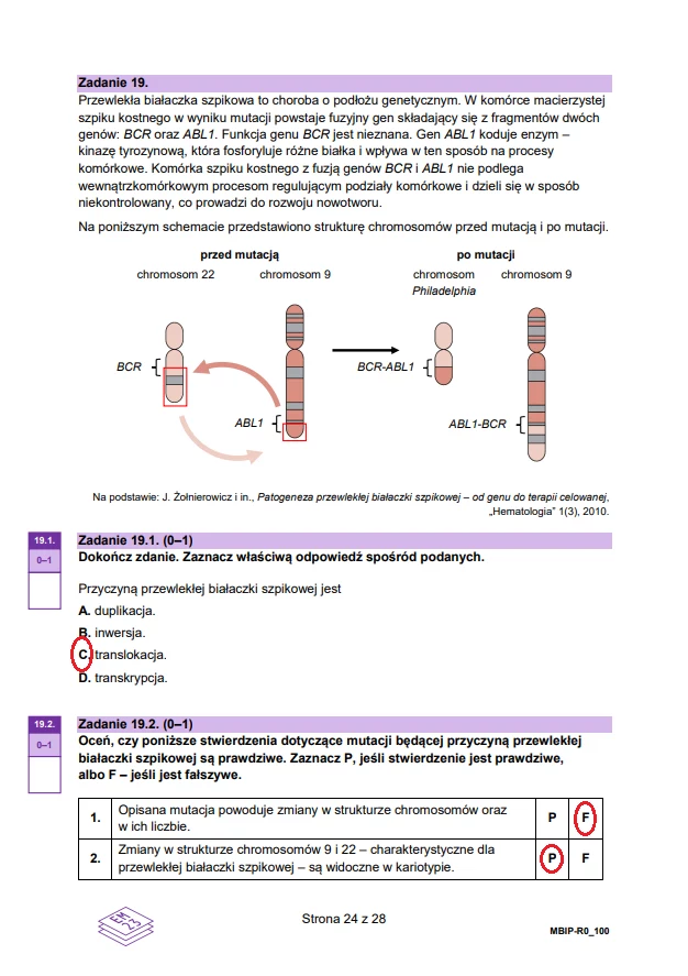 Matura 2024. Biologia - rozszerzenie. Arkusz CKE i odpowiedzi - strona 24