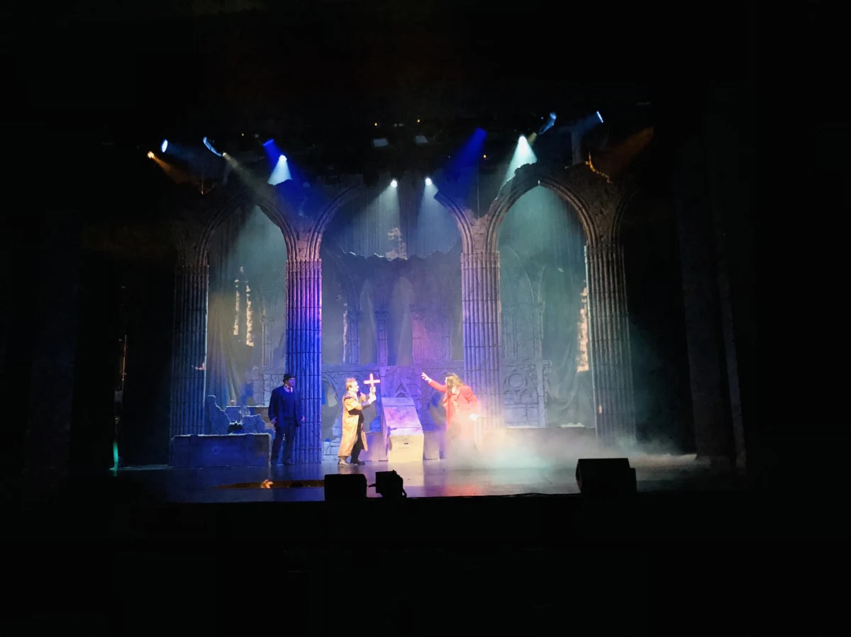 Triki kaskaderskie, najnowsza technologia w służbie sztuki wizualnej, 4 TIR-y scenografii, doborowa obsada i symfoniczny rozmach - pierwsza w Polsce autorska wersja mrocznej historii hrabiego Draculi zapowiada się fenomenalnie! Premiera w sobotę (18 maja) na deskach Teatru Muzycznego w Łodzi. 