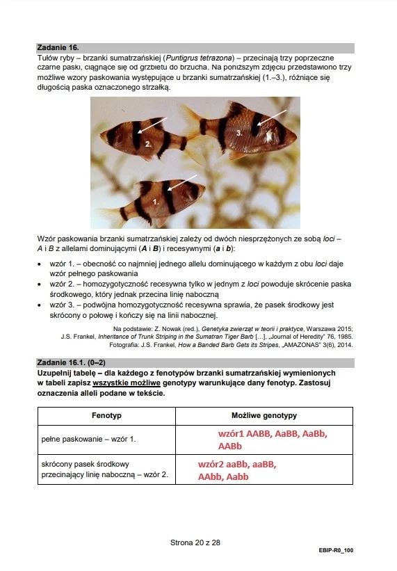 Matura 2024 - biologia, arkusz CKE. Formuła 2015