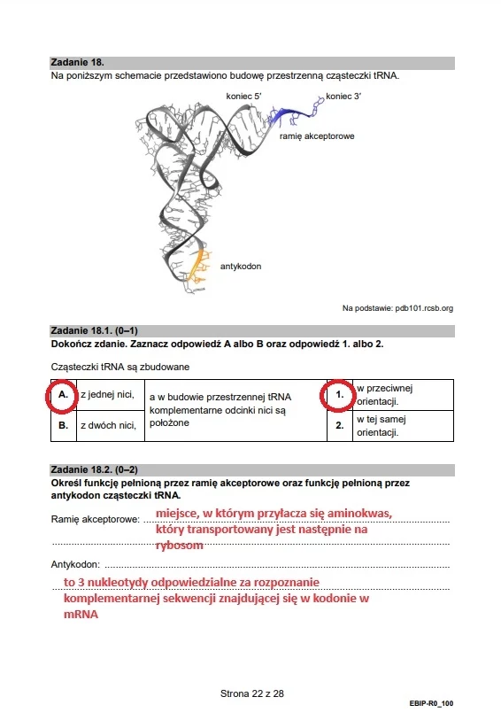 Formuła 2015, biologia. Arkusz CKE i odpowiedzi 