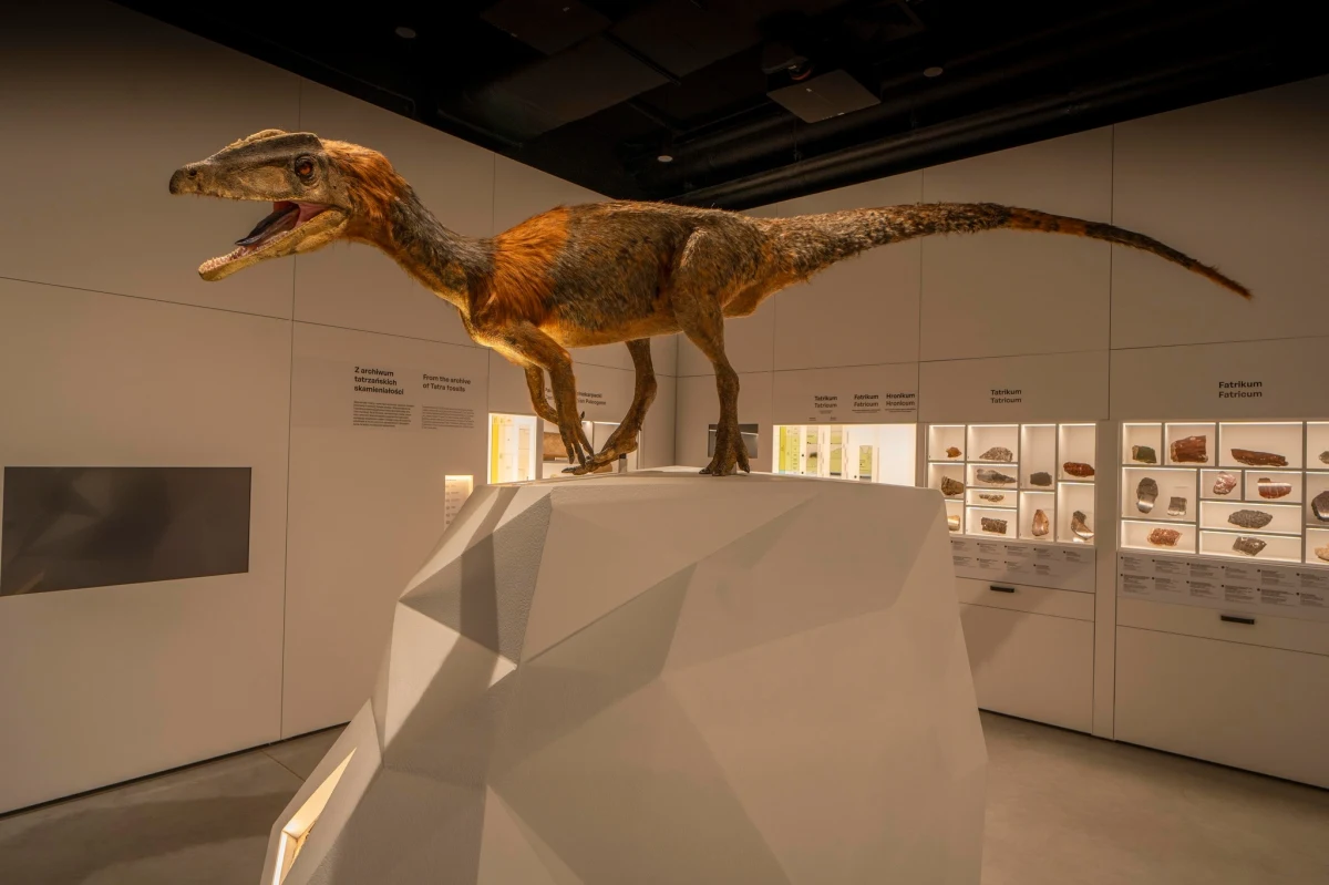 W Zakopanem powstaje nowa atrakcja turystyczna. W sobotę, 18 maja otwarte zostanie Tatrzańskie Archiwum Planety Ziemia.