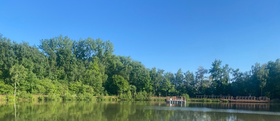 Park Tetmajera w Bronowicach zmienił swoje oblicze. Kiedyś miejsce było zaniedbane i niedostępne, teraz jest otwarte dla mieszkańców.