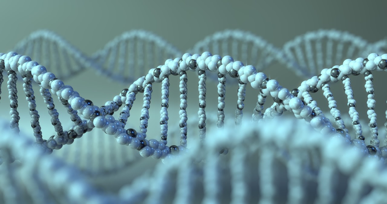 Naukowcy stworzyli czujnik do śledzenia naprawy DNA w żywych komórkach