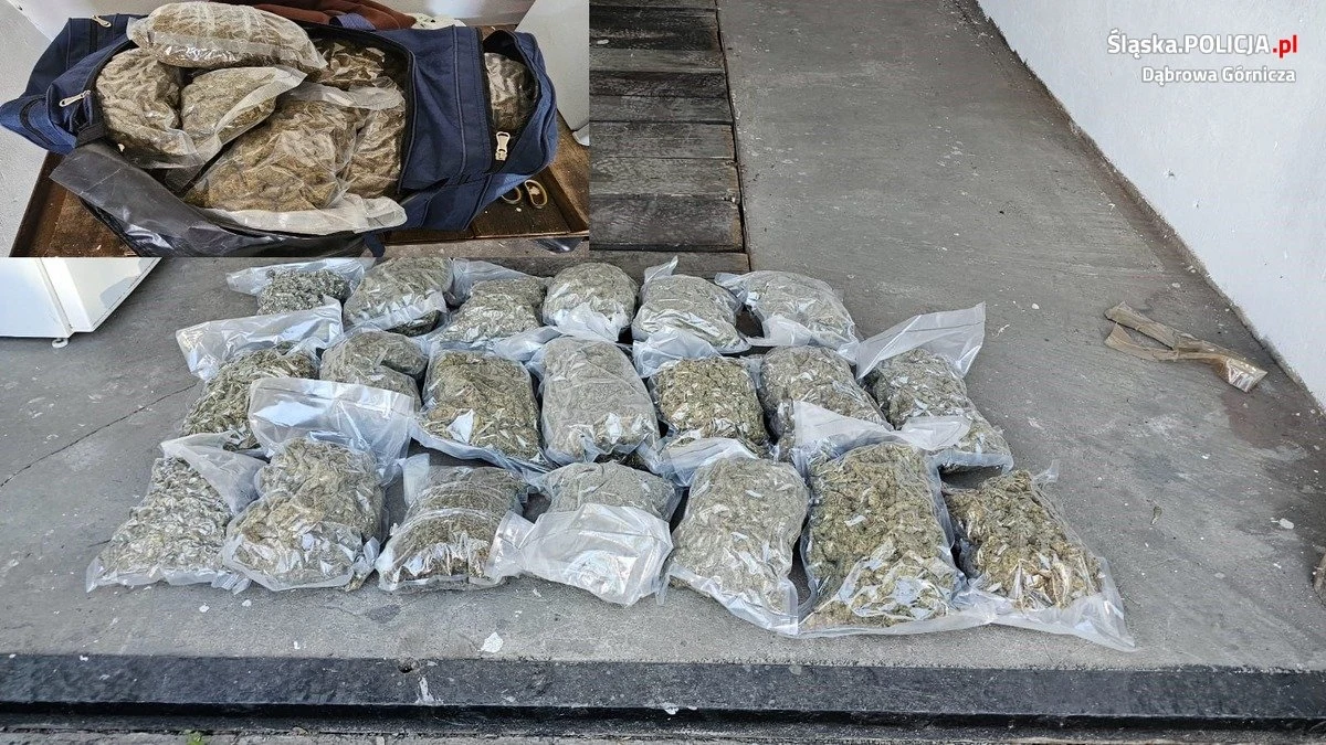 60 kilogramów narkotyków o czarnorynkowej wartości 2,5 mln złotych przejęli policjanci z  Dąbrowy Górniczej. Zatrzymali 40-latka, który odpowie za wprowadzanie środków odurzających do obrotu, grozi mu do 12 lat w więzieniu.