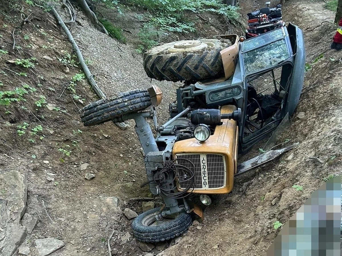 74-latek zginął w lesie w Starym Żmigrodzie na Podkarpaciu. Mężczyzna został przygnieciony przez ciągnik rolniczy i zginął na miejscu.
