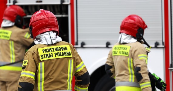 W czwartek późnym popołudniem wybuchł pożar stolarni w Zakrzewie w powiecie złotowskim. W akcji brało udział 17 zastępów straży; sytuacja jest opanowana.