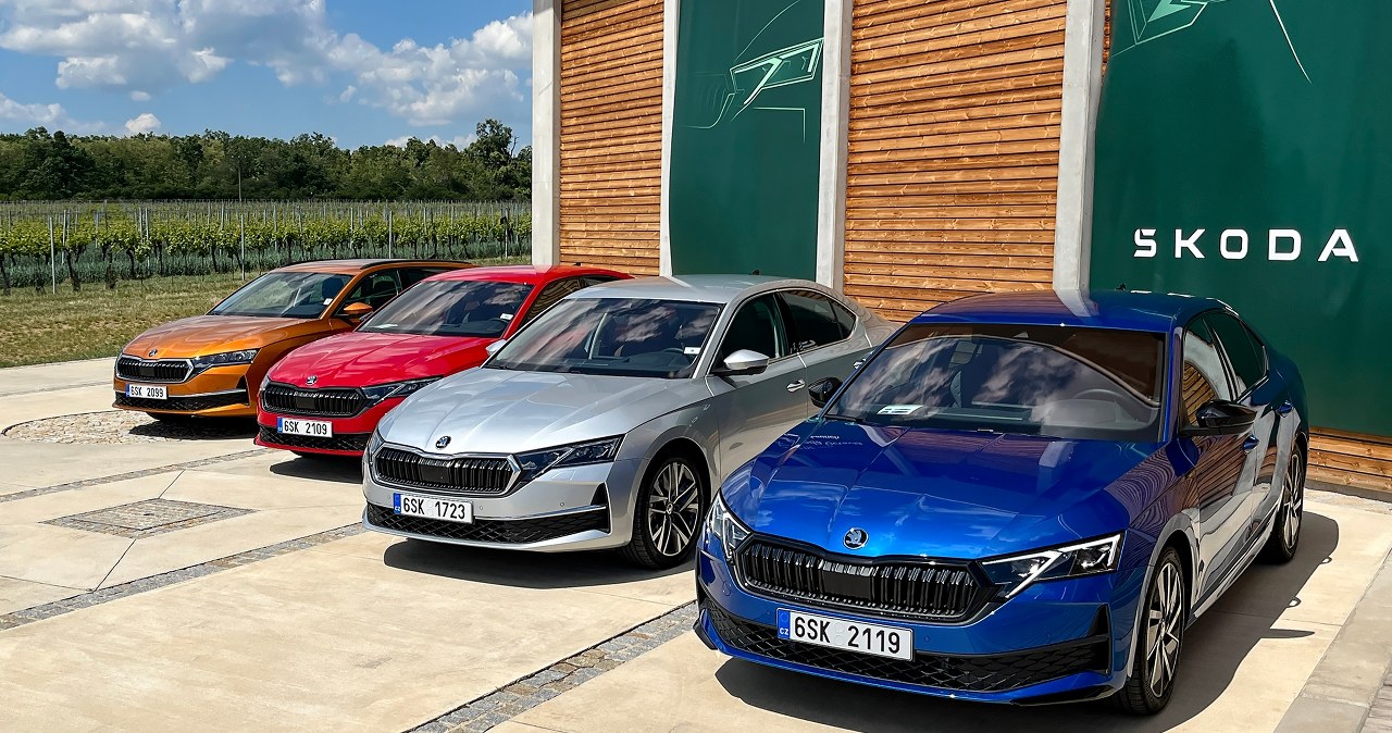 Skoda Octavia za mniej niż 500 zł. Takiej oferty jeszcze nie było