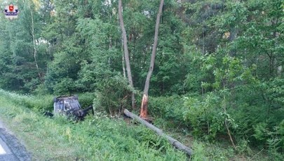 Tragiczny finał zderzenia auta z łosiem