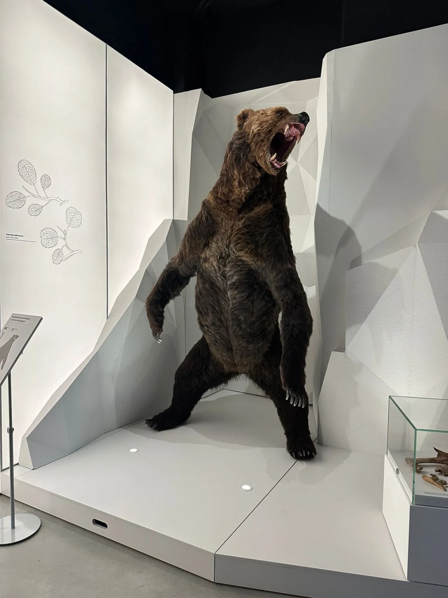 ​Tatrzańskie Archiwum Planety Ziemia, w którym można zapoznać się m.in. z procesami przyrodniczymi zachodzącymi w Tatrach, otwarto w piątek u wylotu Doliny Kościeliskiej. Dostępny dla turystów obiekt mieści się pod ziemią, a wejście nawiązuje do szałasu pasterskiego.