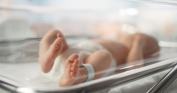13-latka urodziła dziecko podczas wycieczki szkolnej do Zatoru. Z informacji RMF FM wynika, że do porodu doszło w jednym z ośrodków turystycznych, w którym zakwaterowane były dzieci z Mazowsza. 