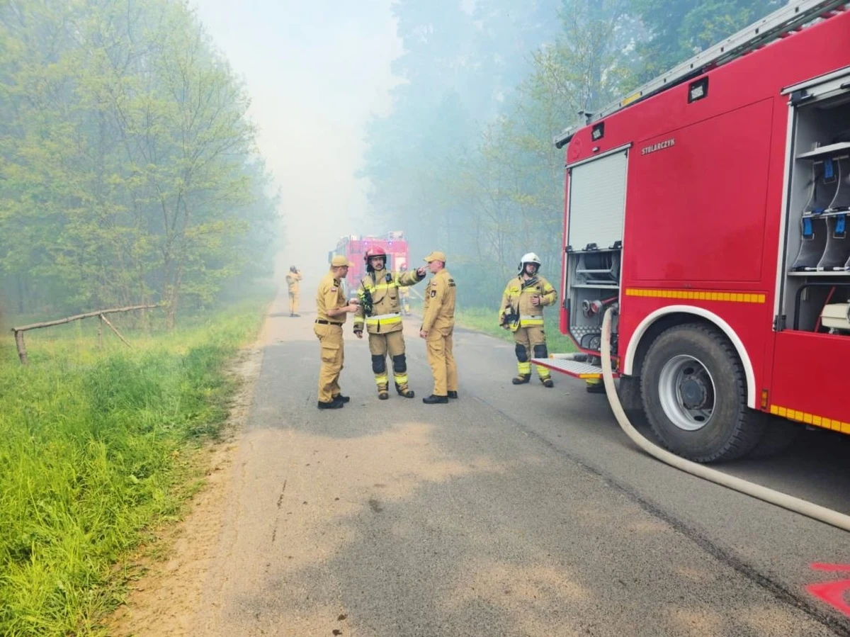 15 hektarów lasu spłonęło w Snochowicach koło Kielc. Strażacy dogaszają pożar. Podkreślają, że to była bardzo trudna akcja. Z ogniem walczyło 16 zastępów straży i dwa samoloty gaśnicze oraz policyjny śmigłowiec Black Hawk ze specjalnym zbiornikiem na wodę.