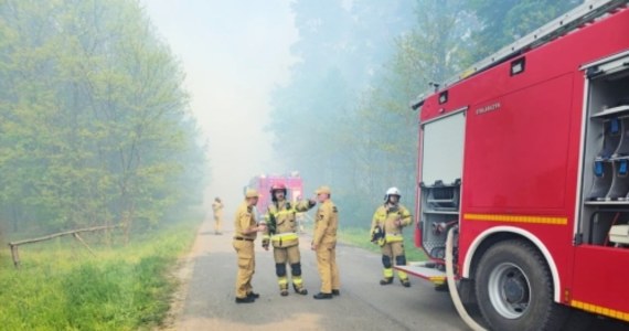15 hektarów lasu spłonęło w Snochowicach koło Kielc. Strażacy dogaszają pożar. Podkreślają, że to była bardzo trudna akcja. Z ogniem walczyło 16 zastępów straży i dwa samoloty gaśnicze oraz policyjny śmigłowiec Black Hawk ze specjalnym zbiornikiem na wodę.