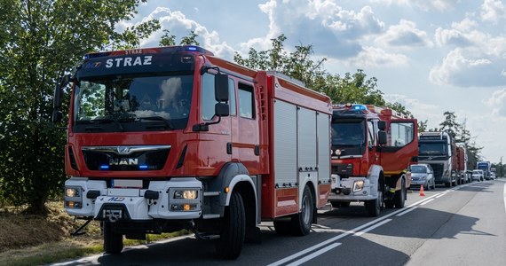 Kolejny pożar lasu. Około 30 strażaków z 8 zastępów walczy z ogniem w miejscowości Osiek koło Torunia. Pożar objął powierzchnię około hektara.