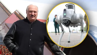 Pies-terminator na Białorusi. Wojsko Łukaszenki testuje nowego robota