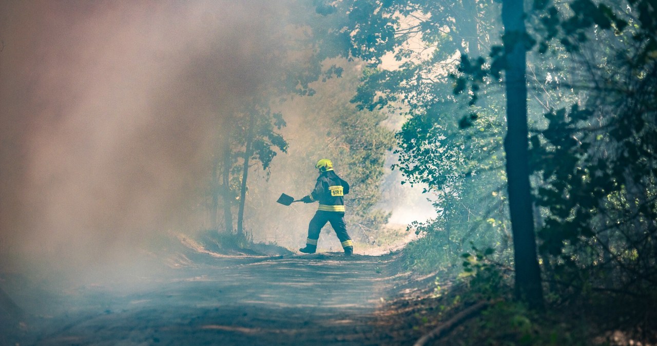  Potężny pożar na Podlasiu. Ogień w otulinie Puszczy Białowieskiej
