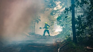 Potężny pożar na Podlasiu. Ogień w otulinie Puszczy Białowieskiej