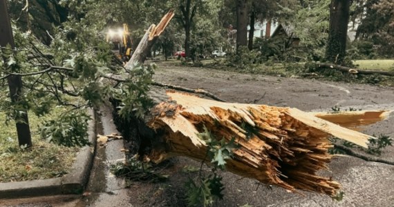 Piątek okazał się pracowitym dniem dla krakowskich strażaków. W mieście i okolicach wiał bardzo silny wiatr. Mundurowi interweniowali 30 razy, m.in. wyciągając człowieka z samochodu, na który spadły złamane konary.