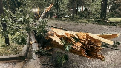 Piątkowe wichury w Krakowie. 30 interwencji strażaków