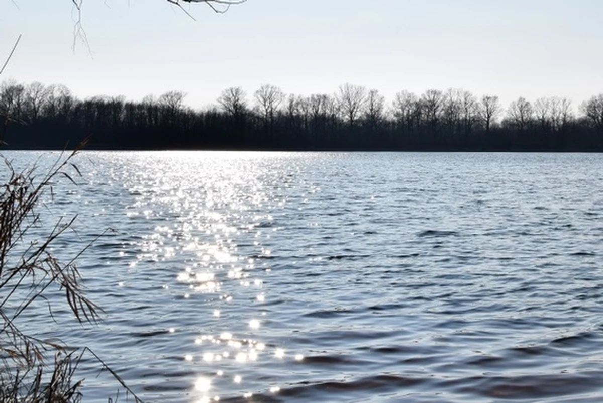 W tym tygodniu zaobserwowano wzrost "złotej algi" w wodach Odry - poinformował Zespół Zarządzania Kryzysowego Ministerstwa Klimatu i Środowiska. Jak podał resort "przypisano pierwszy stopień zagrożenia dla punktu powyżej Wrocławia w Łanach".