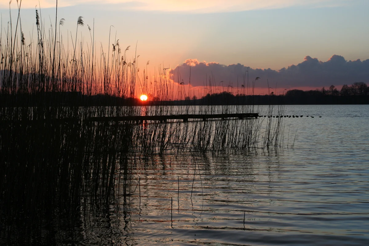 Zabili mężczyznę, podcinając mu gardło, a następnie upiekli na ognisku kilka części jego ciała i je zjedli. Miał to być swoisty pakt milczenia, aby nikt z obecnych nie ujawniał informacji o zdarzeniu. Skargi kasacyjne w głośnej sprawie kanibali znad jeziora Osiek wnieśli obrońca skazanego na 25 lat więzienia Roberta M., ale też prokurator. Sąd Najwyższy rozpatrzy je w środę.