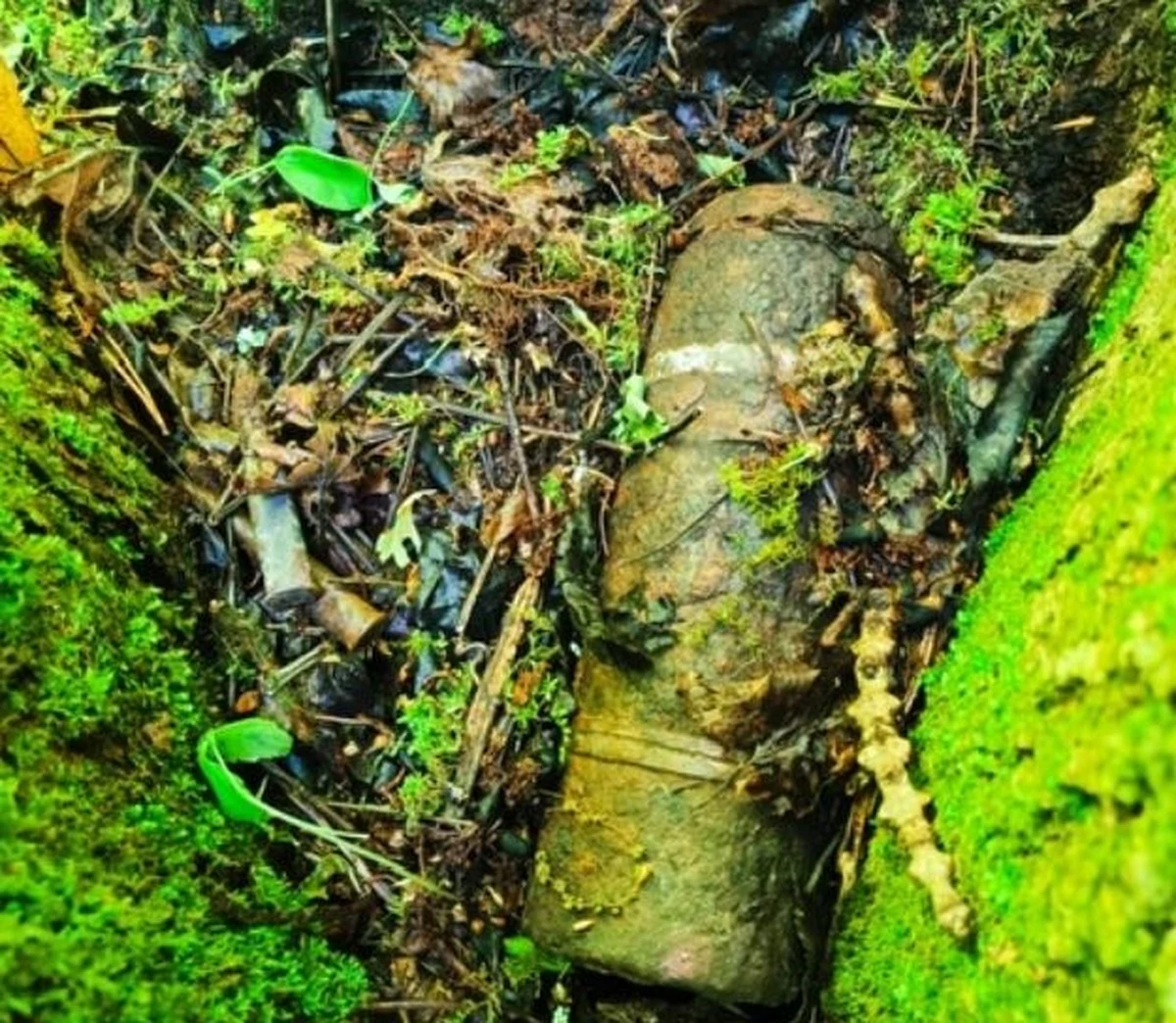 Turyści spacerujący wspólnie z leśniczym w lesie koło Potoków na Lubelszczyźnie znaleźli pocisk artyleryjski i amunicję strzelecką. Policjanci zabezpieczyli niewybuchy do czasu przyjazdu saperów.