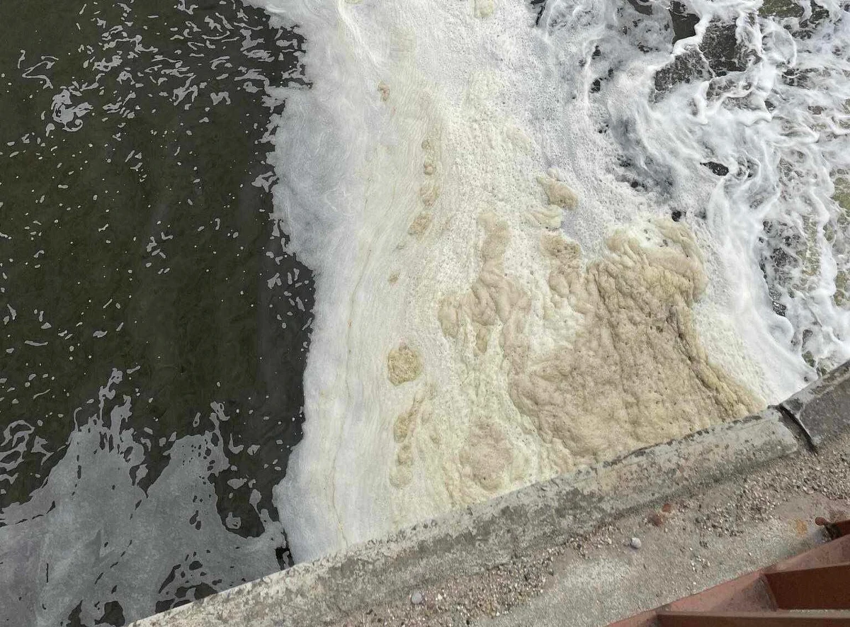 Wędkarze zaalarmowali, że w korycie Wisły w Krakowie występuje duża ilość gęstej piany. Zgłoszenie dotarło do m. in. Wód Polskich i Wojewódzkiego Inspektoratu Ochrony Środowiska. Jeden z aktywistów twierdził, że „mogło dojść do ogromnego zakwitu alg, fitoplanktonu” w wyniku np. zrzutu ścieków. W poniedziałek oficjalny komunikat w tej sprawie wydał RZGW, a we wtorek poinformował, że za pianę odpowiedzialna jest sól.