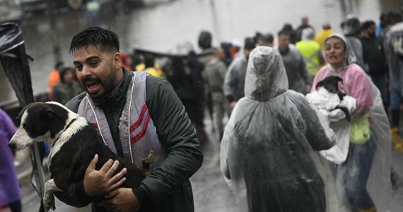 Ponad 12 tys. zwierząt, zarówno dzikich, jak i domowych, zostało uratowanych podczas powodzi na południu Brazylii spowodowanej intensywnymi opadami deszczu. Część z nich trafi do rodzin zastępczych, które zgłosiły się poprzez sieci społecznościowe.