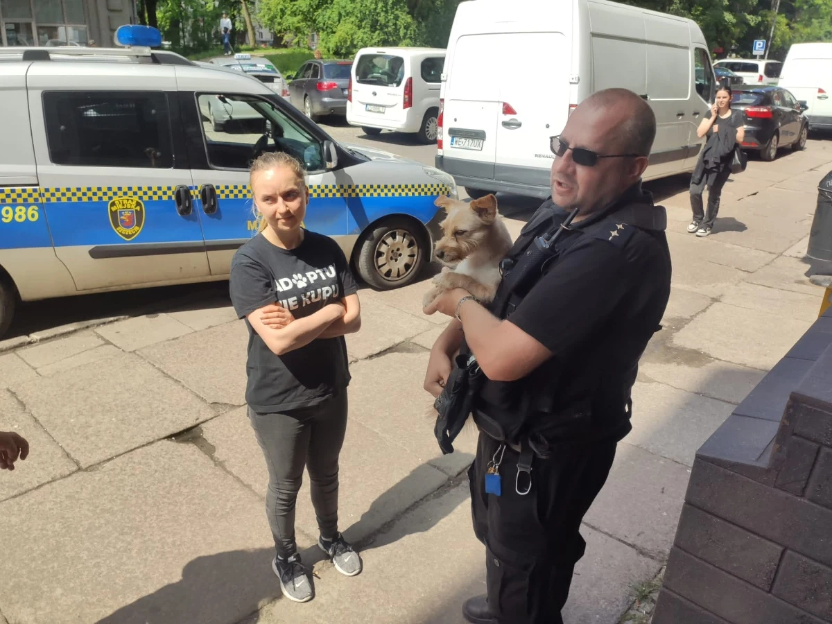 Co najmniej trzy godziny spędził w rozgrzanym samochodzie pies, na pomoc któremu ruszyli strażnicy miejscy ze Szczecina. Właścicielka psa zostawiła zwierzę w aucie zaparkowanym w pełnym słońcu. Służby oraz inspektorów Towarzystwa Opieki nad Zwierzętami zaalarmowali przechodnie.