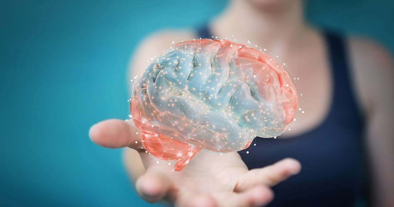 Stary mózg też się regeneruje. Naukowcy obalają wieloletni mit