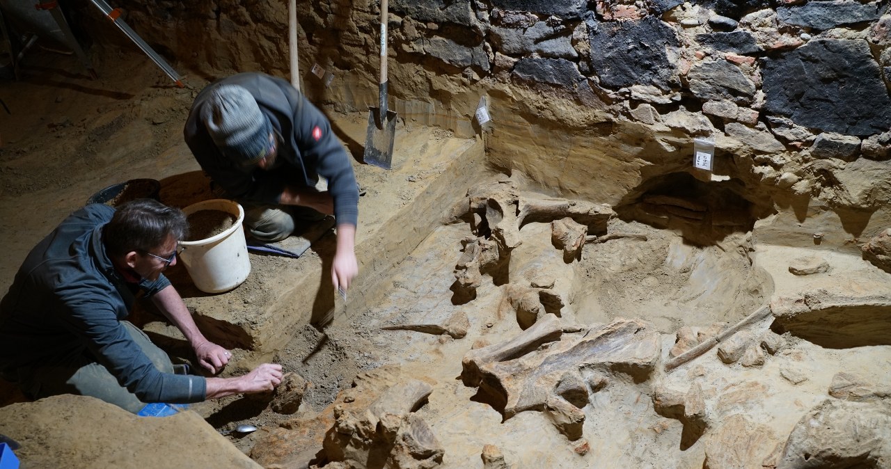 Odkryli nieznane plemię z Teksasu. Robiło instrumenty z ludzkich kości