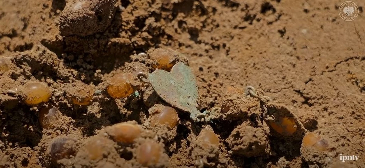 Dwie zbiorowe mogiły Polaków zamordowanych jesienią 1939 roku przez formacje niemieckie znaleźli w tzw. Dolinie Śmierci w Chojnicach biegli i śledczy IPN. Według nich są tam szczątki ponad stu osób.