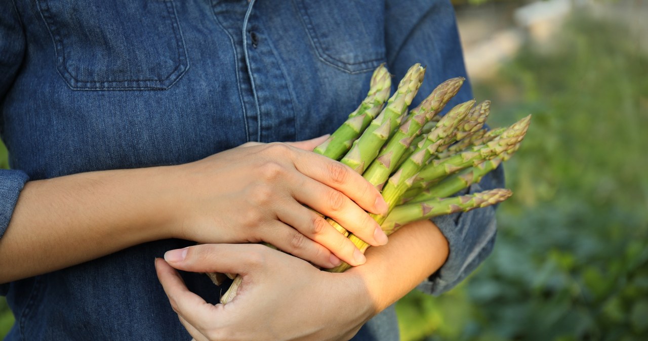 Włącz do diety warzywa. Mogą odwrócić uszkodzenia wątroby