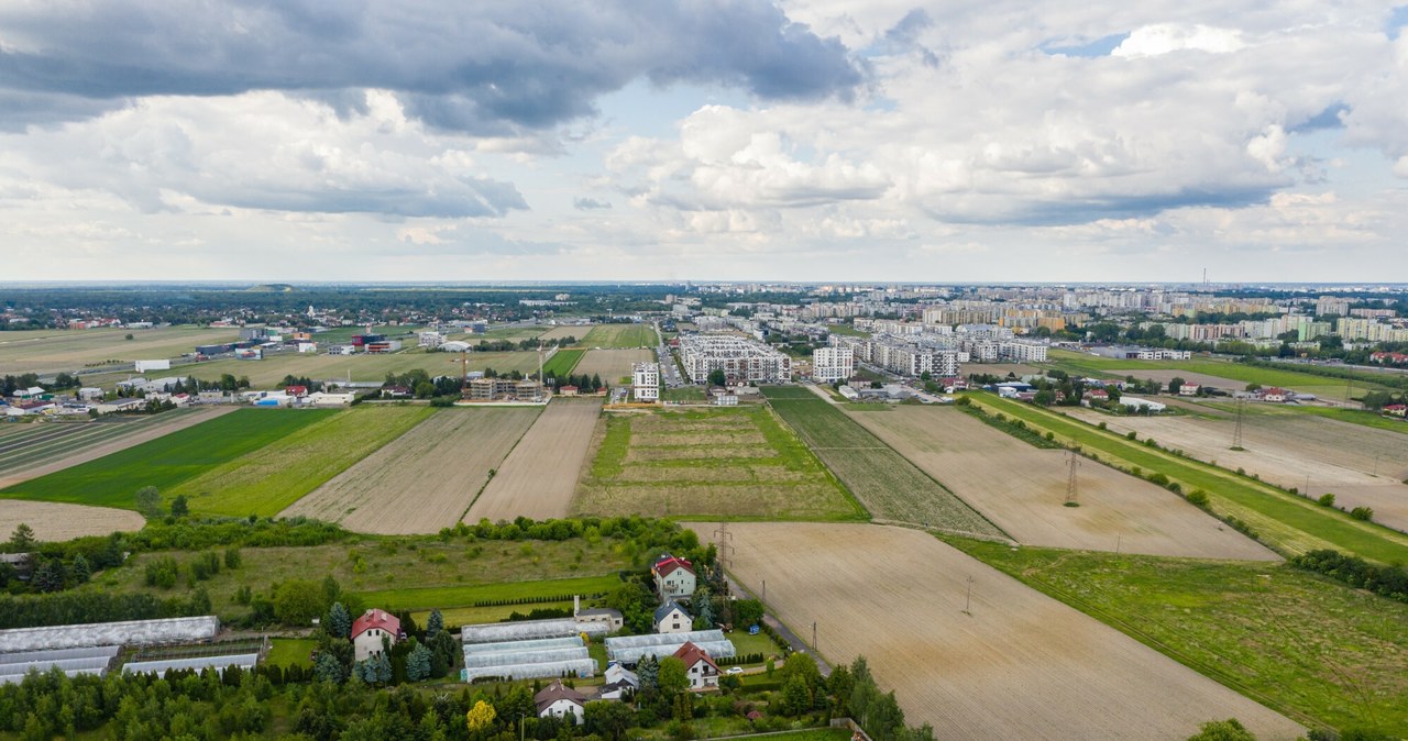 Kampania, przed, eurowyborami, trwa, najlepsze, Niektóre, ugrupowania, jeżdżą, europejskim, Zielonym, Ładzie, łysej, kobyle, Pro Zielona transformacja zalazła ludziom za skórę? Bzdura i wymyślony problem