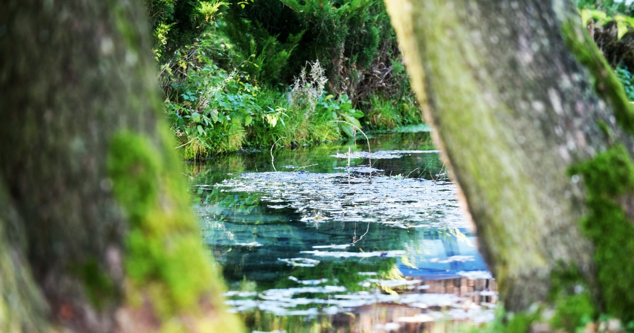  Lazurowe źródełko i miejsce na piknik. Tylko 30 minut od Krakowa